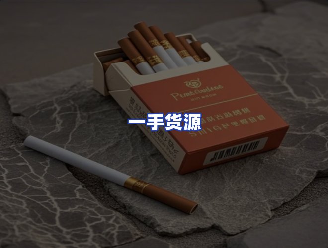 专业团队